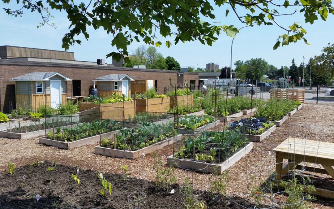 MOHAWK COLLEGE COMMUNITY GARDEN