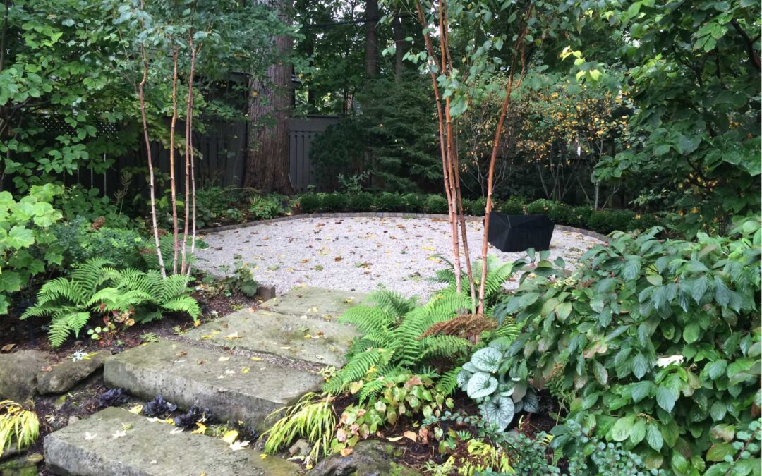 FARNHAM GARDEN