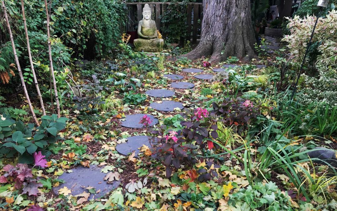 DELAWARE GARDEN