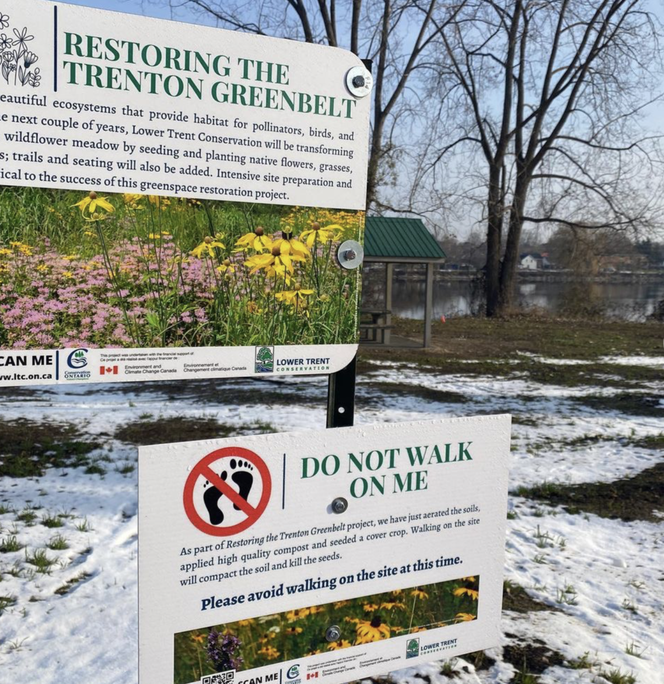 Restoring the Trenton Greenbelt