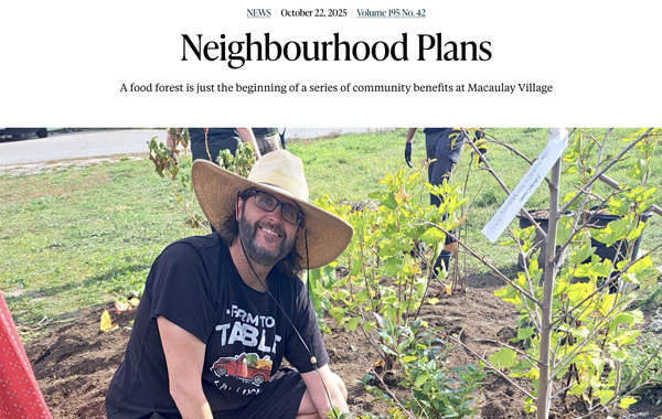 A food forest is just the beginning…